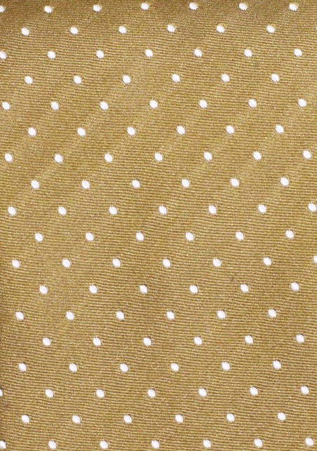 Polka Dotted XL Length Tie in Gold