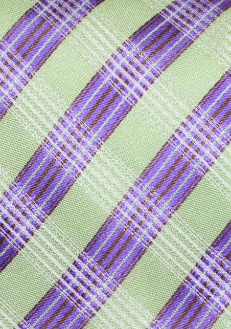 Contemporary Plaid Tie in Green