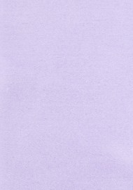 Solid Colored XL Tie in Light Lavender