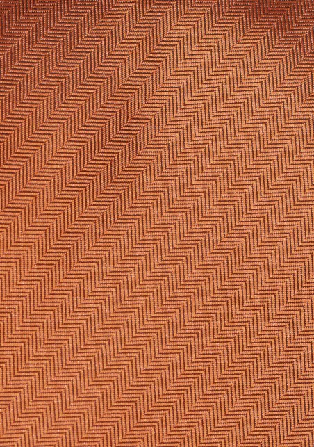 Classic Burnt Orange Boys Sized Necktie