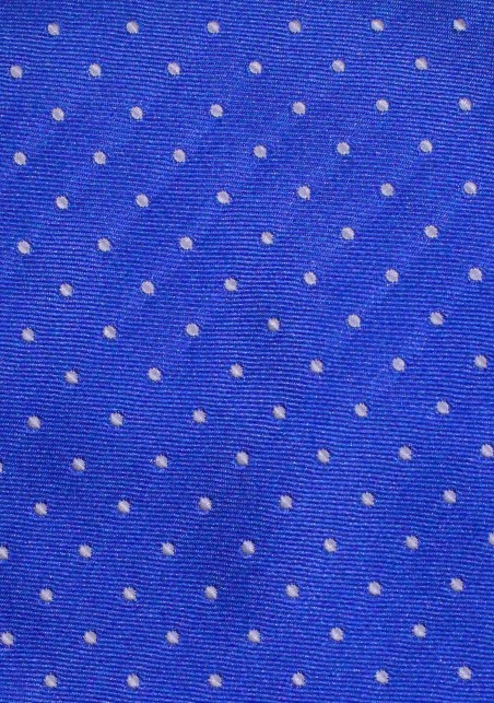 Royal Blue Polka Dot Tie | Royal Blue Mens Tie with Woven Silver Dots
