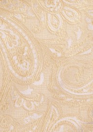 Mens Paisley Tie in Golden Champagne