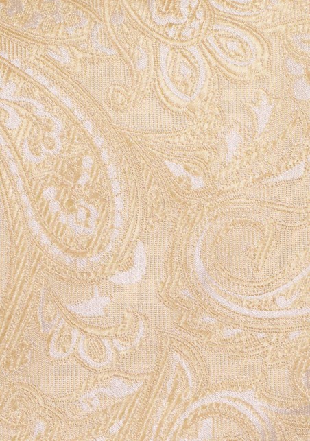 Extra Long Length Tie in Golden Champagne