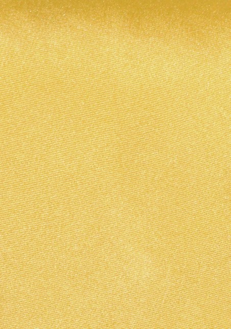 Mens Extra Long Tie Gold-Yellow