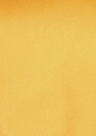 Amber Gold Mens Tie | Solid Satin Tie in Amber | Golden Amber Colored Formal Necktie