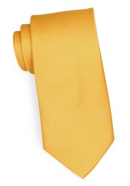 Amber Gold Kids Tie | Solid Satin Tie in Amber Gold for Boys