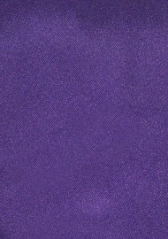 Luxe Purple Necktie