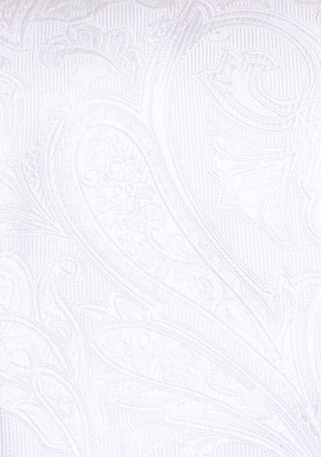 Bright White Woven Paisley Necktie