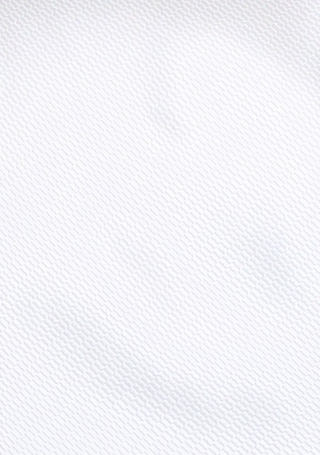 Pure White Formal Necktie