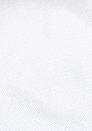 Pure White Formal Necktie
