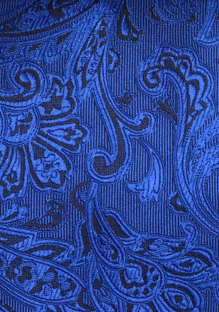 Elegant Royal Blue Paisley Boys Ties