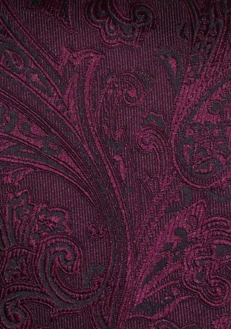 Paisley Necktie for Kids in Claret