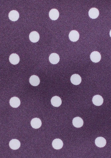 Deep Plum Colored Tie with White Polka Dots