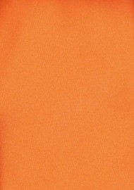Solid Boys Neck Tie in Tangerine