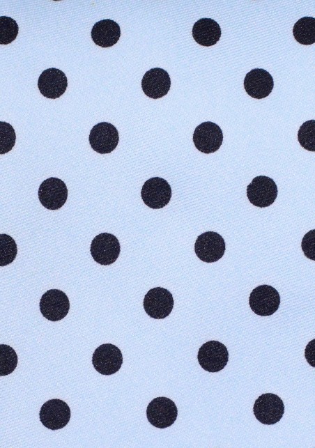 Sky Blue Necktie with Dark Blue Polka Dots