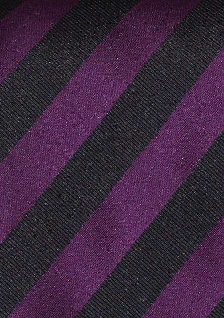 Kids Sized Necktie in Purple and Black