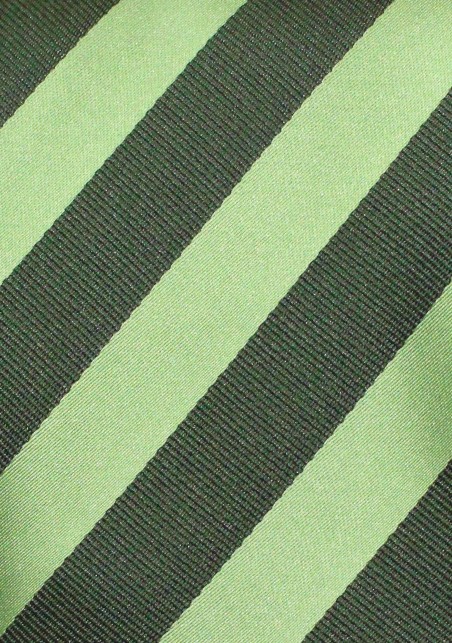 Pistaccio and Kelly Striped Tie