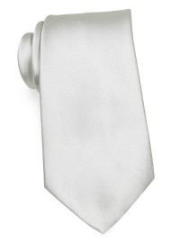 Solid Color Tie in Light Silver