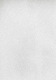 Solid Color XL Length Tie in Light Silver