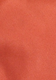 Rust Color Mens Tie | Solid Satin Mens Tie in Rust Brownish Red
