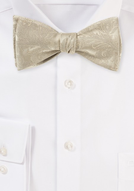 Paisley Silk Bow Tie in Golden Champagne