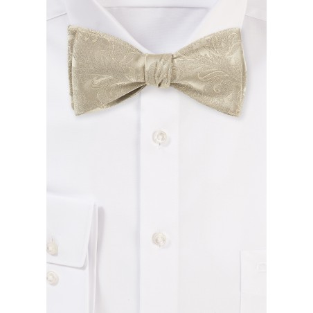 Paisley Silk Bow Tie in Golden Champagne