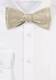 Paisley Silk Bow Tie in Golden Champagne