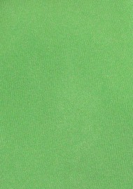 Solid Color Kelly Green Tie
