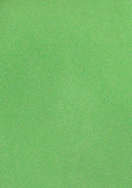 Solid Color Kelly Green Tie in XXL Length