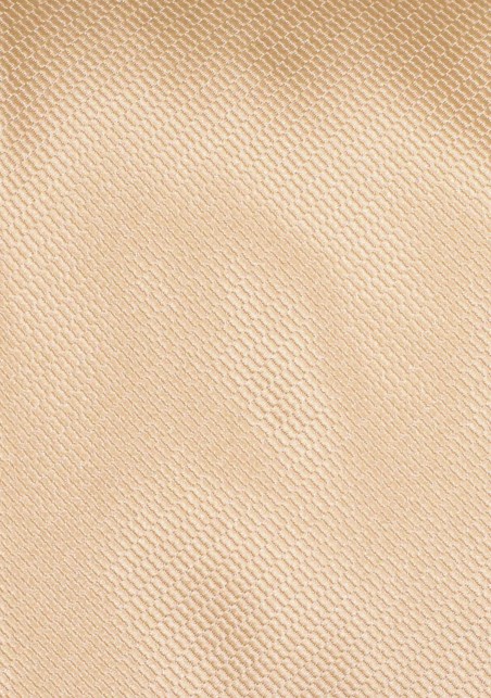 Formal Wedding Tie in Golden Champagne