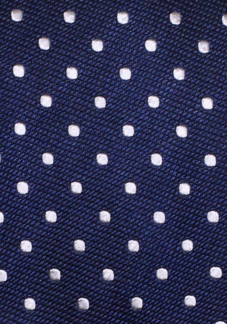 Navy and Silver Dotted Tie