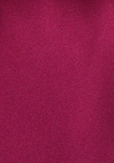 Raspberry Colored Neck Tie