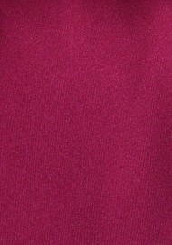Raspberry Colored Neck Tie