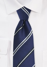 Elegant Repp Stripe Tie in Blue and Silver