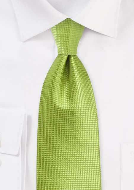 Solid Necktie in Palm Green