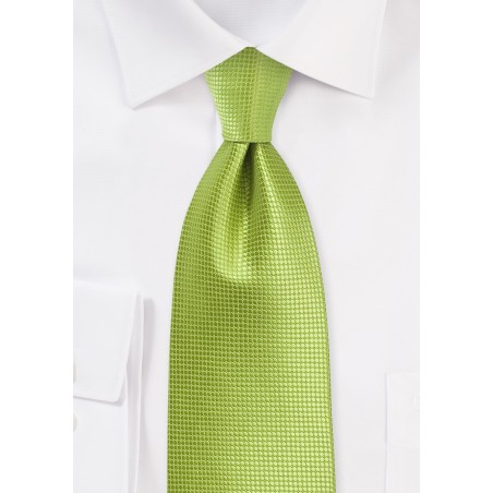 Solid Necktie in Palm Green