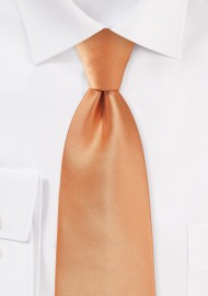 Shiny Apricot Hued Tie for Boys