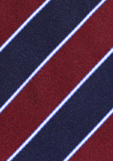 Preppy Striped Mens Tie in Navy and Burgundy
