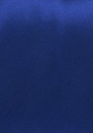 Solid Color Tie in Royal