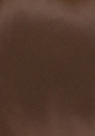 Solid Mens Tie in Chocolate Brown