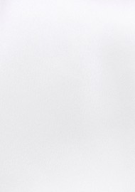 Solid Color Necktie in Bright White
