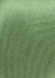 Solid Color Tie in Sage