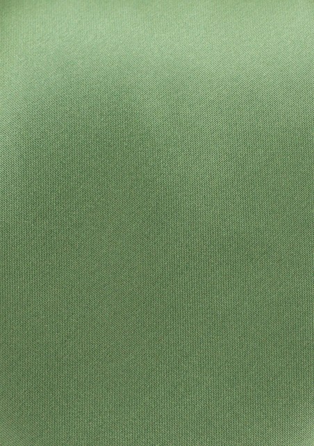 Solid Kids Neck Tie in Sage