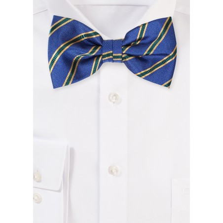 Royal Blue and Gold Striped Bow Tie in pre-Tied style