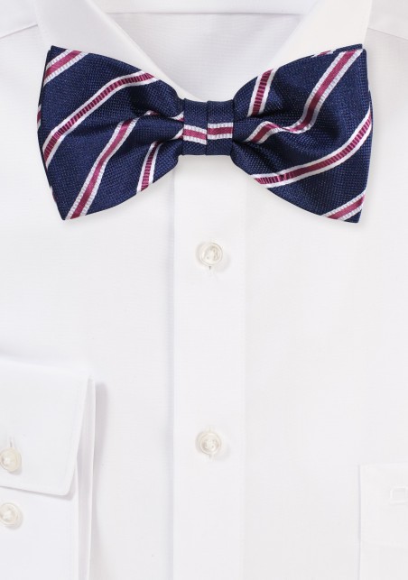 Matte Woven Bow Tie in Navy and Burgundy Stripe