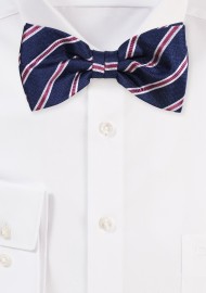 Matte Woven Bow Tie in Navy and Burgundy Stripe