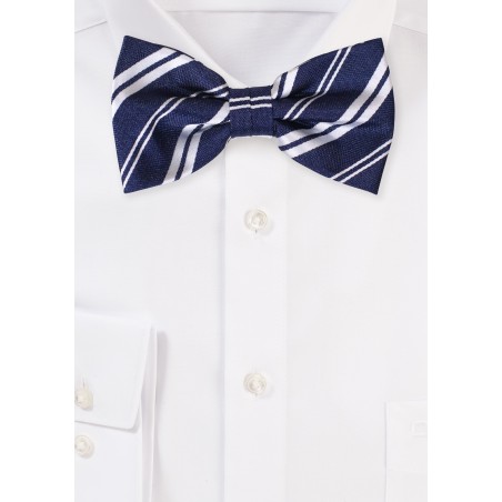 Striped Bow Tie in Black and Silver