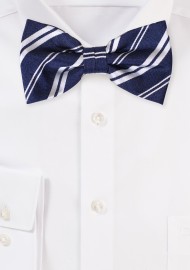 Striped Bow Tie in Black and Silver