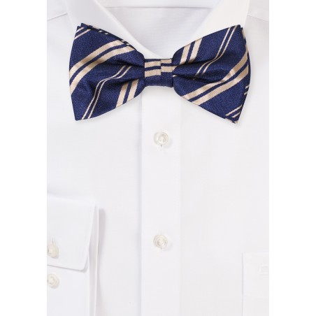 Striped Bow Tie in Navy and Gold
