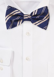 Striped Bow Tie in Navy and Gold